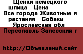 Щенки немецкого шпица › Цена ­ 20 000 - Все города Животные и растения » Собаки   . Ярославская обл.,Переславль-Залесский г.